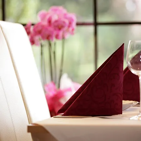 Hotel Mariaweiler Hof Düren - Eifel